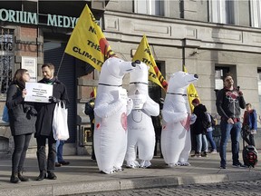 Activists dressed in polar bear costumes call for nuclear energy to replace fossile fuels on the sidelines of a climate march in Katowice, Poland, on Saturday, Dec 8, 2018.