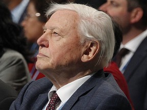 Natural historian Sir David Attenborough, second right, listens to speeches during the opening of COP24 UN Climate Change Conference 2018 in Katowice, Poland, Monday, Dec. 3, 2018.