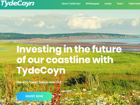 Screen shot of TydeCoyne website.