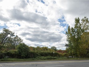 Wooded area west of Fairview Ave. on the western side of Fairview shopping centre in Pointe Claire.