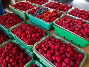 A diet high in berries and fresh vegetables has been proposed to treat multiple sclerosis, but Joe Schwarcz isn't convinced.