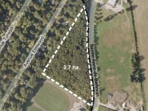 A promoter aims to sell off a 3.7-hectare triangle lot in Senneville after a proposed development was blocked by residents.