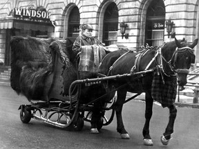 The lack of snow downtown Montreal streets often made it impossible for caleche owner Romeo Lapointe to go about his business of taking wintertime visitors to the city on an old-fashioned ride -- that is, until he had wheels added to his sleigh.