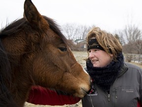 Jennifer Levie with Lena's Little Darling, the sole survivor of a fire that killed 39 horses in Hemmingford. “You can replace a building,” says Levie, owner of Levie Performance Horses, "but the relationship is the hardest thing to replace."