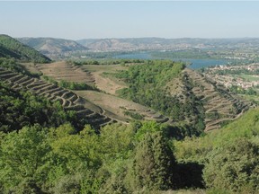 Even within the northern Rhône, syrah can be either light-bodied or a relative monster of a wine.