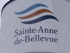 The city's development vision for the land north of the Ste-Anne Hospital is geared toward a seniors demographic.