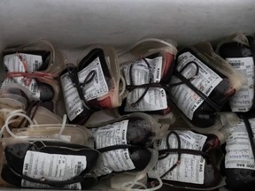 People who use cannabis can donate blood according to the Red Cross donation rules. (Photo by Kabir Dhanji / AFP)KABIR DHANJI/AFP/Getty Images