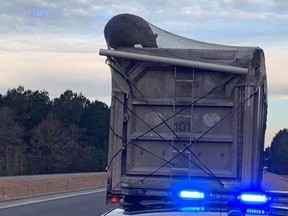 Drivers were startled to see a hungry bear that got stuck in the back of garbage truck and took a ride across a stretch of eastern North Carolina.