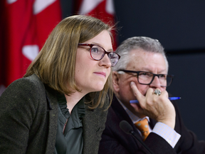 Democratic Institutions Minister Karina Gould and Public Safety Minister Ralph Goodale speak about measures to combat foreign interference in Canadian elections, on Jan. 30, 2019.