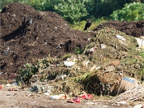 Experts say a large-volume composting facility in St-Laurent will bring no revenue and is an outdated concept.