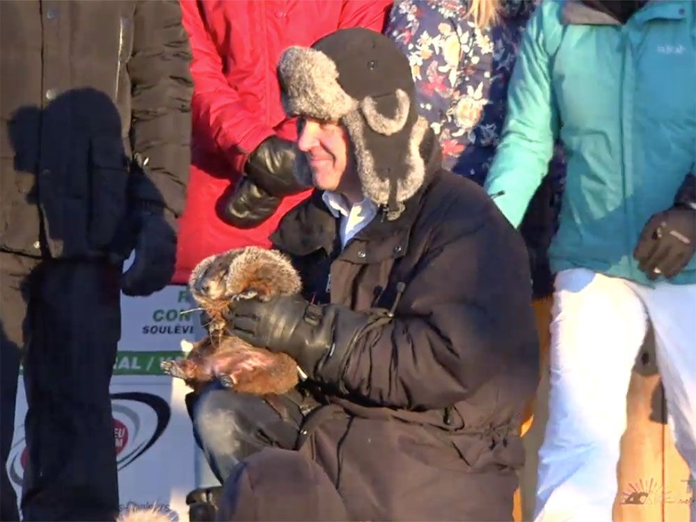 groundhog day in quebec