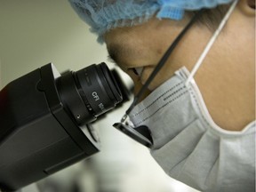 A scientists looks through a microscope.