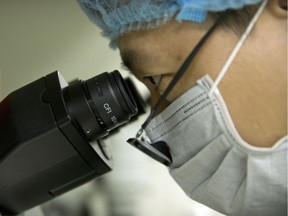 In this Oct. 9, 2018 photo, Qin Jinzhou looks through the lenses of a microscope as he works at a laboratory in Shenzhen in southern China's Guangdong province. Chinese scientist He Jiankui claims he helped make world's first genetically edited babies: twin girls whose DNA he said he altered. He revealed it Monday, Nov. 26, in Hong Kong to one of the organizers of an international conference on gene editing. Qin is an embryologist in He's lab. (AP Photo/Mark Schiefelbein) ORG XMIT: XMAS507