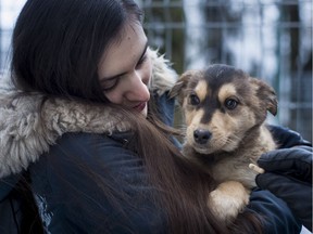 In this photo taken on Friday, Feb. 1, 2019, a potential pet owner looks at a stray dog at a shelter in Vilnius, Lithuania. A group of animal enthusiasts in Lithuania have created the GetPet mobile app inspired by the popular dating app Tinder, to match up dogs in local shelters with potential new owners.(AP Photo/Mindaugas Kulbis) ORG XMIT: XAZ913