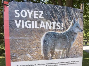 Signs at the entrance of a park warn of the danger of coyotes in Montreal on Tuesday, July 31, 2018.