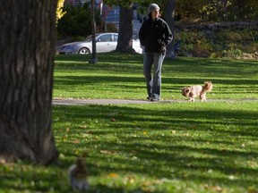 N.D.G. residents called for more dog walks at parks during an open-ended consultation on Saturday.