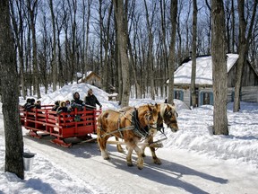 Sucrerie de la Montagne has rustic log cabins in an idyllic mountaintop domain.