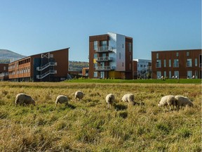 Le Germain Charlevoix is an enchanting hotel community with an animal farm, a Nordic spa and gourmet bistro cuisine. PHOTO CREDIT: Germain Hotels
0413 travel column by Rochelle Lash