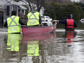 Volunteers from Sauvetage Animal Rescue make their way down a flooded street in Ste-Marthe-sur-le-Lac to rescue two cats and a dog Monday April 29, 2019.
