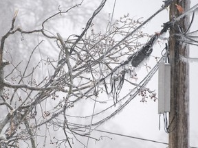 Frozen branches are shown on a power line following freezing rain and strong winds in Laval on Tuesday, April 9, 2019.
