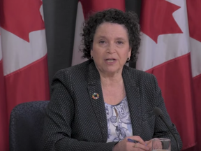 Screen shot from Canadian Press video shows Environment Commissioner Julie Gelfand.