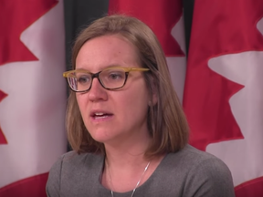 Democratic Institutions Minister Karina Gould is seen in this screen shot from Canadian Press video.