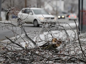 Fallen branches have caused power outages in Laval, April 9, 2019.