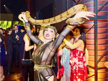 A SLITHER OF A GOOD TIME: Snake charmers and myriad other surprises were all part of the magic created by Manina World at the recent St. Mary's Wonderball.