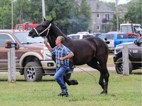 A horse and trainer step out during the Lachute Fair in 2018.