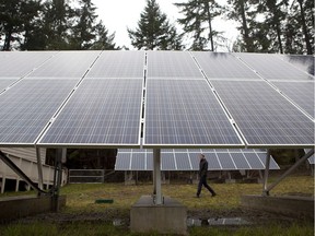 Teacher and administrator Reid Wilson walks among the giant solar panels on school grounds Lasqueti Island, B.C., Thursday, November 24, 2016. Off the grid and no longer relying on diesel generators for power, False Bay school, which was built in 1953, converted to solar energy in March 2016.