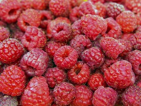 For more information on the frozen-raspberry recall, consult mapaq.gouv.qc.ca.