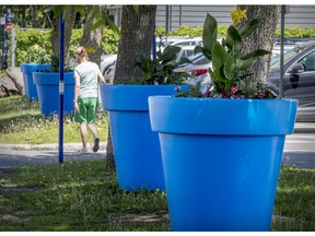 A woman walks between blue plastic flower pots on Ste-Anne St. in Pointe-Claire Village.