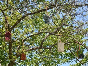 The Town of Pincourt recently inaugurated 50 birdhouses in René-Lévesque and d'Ambrosio parks. This collective project involved about 150 students from the three local elementary schools: Notre-Dame-de-Lorette, St.-Patrick and Edgewater.