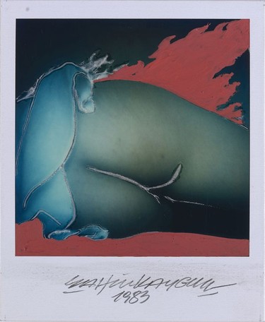 Sahin Kaygun's Buttock (1983). © Sahin Kaygun via McCord Museum as part of The Polaroid Project.