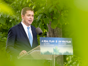 Conservative Leader Andrew Scheer delivers a speech on the environment in Chelsea, Que., on June 19, 2019.