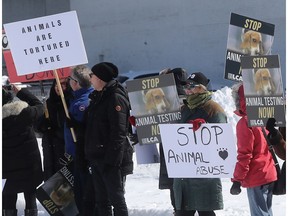 Animal rights protesters are seen outside the International Toxicology Research Laboratories in Baie-D'Urfé on March 17, 2017.