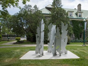 Artist André Dubois' Les ombres claires, pictured, was installed in Stewart Park as part of the 2017 culture project Geopoetics.