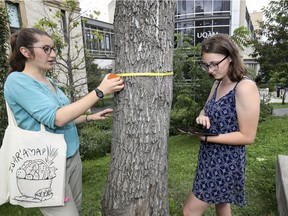 Diane Robach, left, and Kaila Langille are among those counting and measuring trees as part of a UQAM-led program.