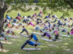 MONTREAL, QUE.: JULY 24, 2019 -- People get into the down dog position during free yoga class at McGill University, partnered with Lululemon in Montreal Wednesday July 24, 2019. (John Mahoney / MONTREAL GAZETTE) ORG XMIT: 62889 - 8221