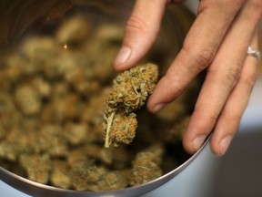 A budtender handles some cannabis at a dispensary in Los Angeles, Calif., in this file photo.