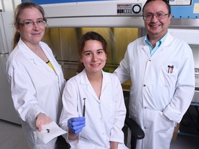 "It's a really innovative and important project because the decline of bees is a growing phenomenon and it's so important to find solutions," says Marie Marbaix, centre, with professors Marie-Odile Benoit-Biancomano, left,and Levon Abrahamyan at the Université de Montréal.