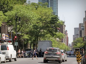 "We’re going to have to be a lot more creative about how we design cities and plant trees" in order to make urban areas cooler, says Concordia professor Carly Ziter.