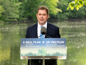 Conservative Leader Andrew Scheer outlines his climate-change platform in Chelsea, Que., on June 19, 2019.