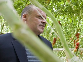 Biologico organic tomato greenhouse owner Stephane Roy is seen in Saint-Sophie, Que., on August 16, 2012. Search and rescue teams will continue their search today for Quebec businessman Roy and his teenage son who've been missing since mid-week after failing to return from a fishing trip in northern Quebec.