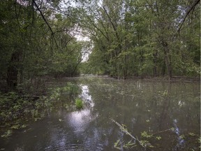 The Riviere a l'Orme passes through the Parc Nature Anse a l'Orme in Pierrefonds, on the west island of Montreal, on Thursday, June 7, 2018. This area is part of the Great Western Park (Grand parc de l'Ouest).