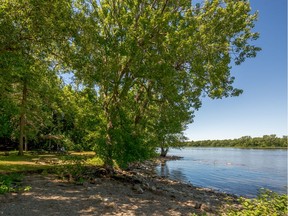 This picture shows the waterfront that is part of Cap St-Jacques. The City of Montreal announced the nature park will be linked with several other ecologically sensitive areas in the same sector to create the country's largest urban park. Credit: city of Montreal