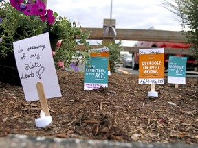Signs are posted in a garden in North Bay for International Overdose Awareness Day.