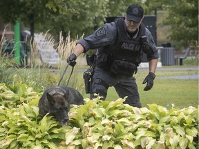 A crime scene perimeter was set up at the site and a canine unit deployed to find more clues.