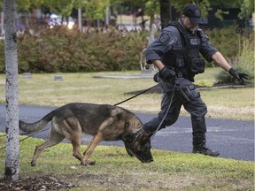 A police dog helps search for clues in an investigation in Boucherville Aug. 30, 2019.