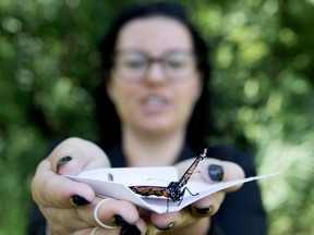 The city of Pointe-Claire will host themed activities at its Monarch Butterfly Educational Garden, corner Belmont and Saddlewood avenues, on Saturday, Sept. 14, starting at 10 a.m. About 150 monarchs will be released into flight (one per family).